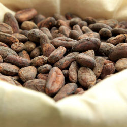 Bio Arriba Cacaobohnen Roh-Ungeschält 500 g