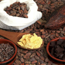 Bio Arriba Cacao Nibs sanft geröstet & caramelisiert (1000g)